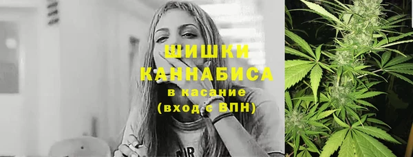 ALPHA PVP Козельск