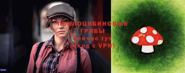 ALPHA PVP Козельск