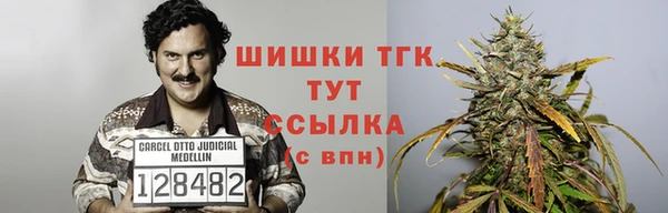 ALPHA PVP Корсаков