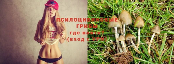 ALPHA PVP Корсаков