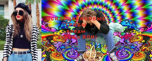 ALPHA PVP Корсаков