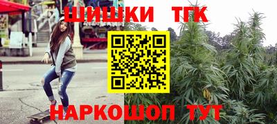 сатива Моздок