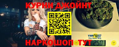 сатива Моздок