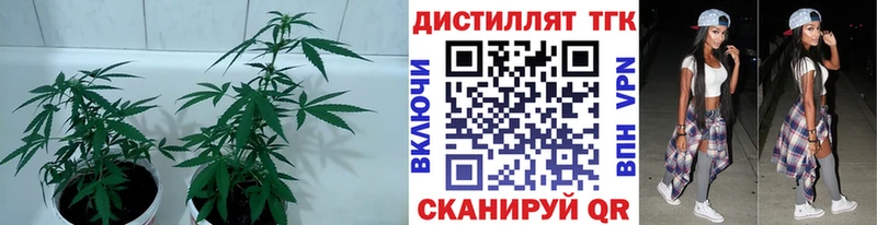 сайты даркнета официальный сайт  Юрга  ТГК вейп с тгк  как найти закладки 