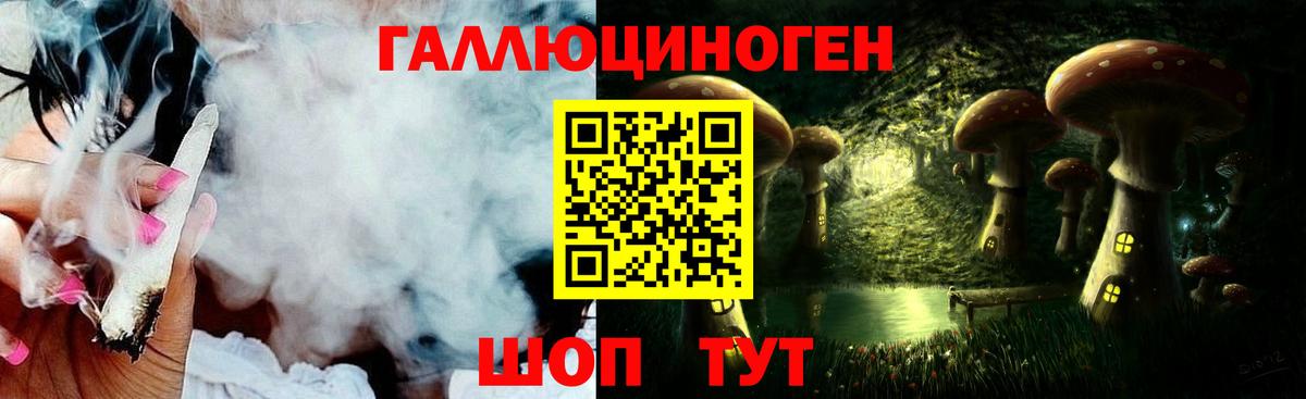 Юрга  Галлюциногенные грибы прущие грибы  Вход с VPN 